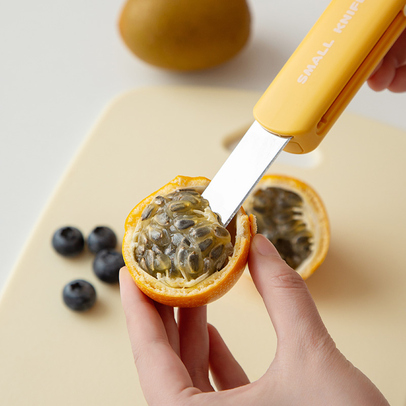 3-in-1 Fruit Knife